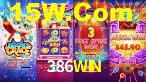 Premium Interface 386WIN